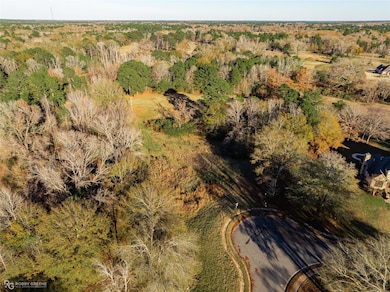 20 Fox Trot Cove, Haughton, LA 71037 - photo 4