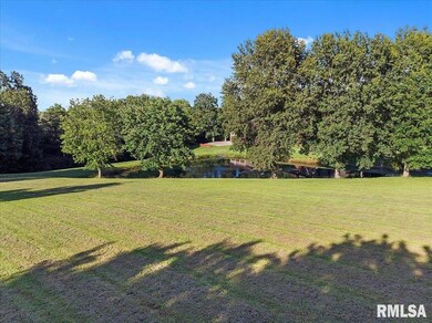 1338 Reining Rd, Chapin, IL 62628 - photo 3