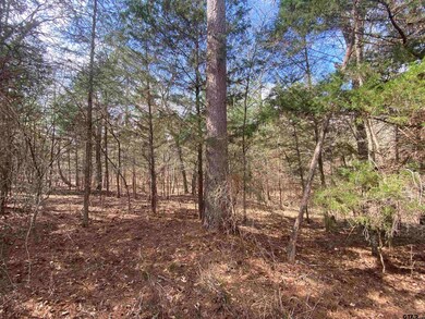 15292 Big Oak Bay Rd, Tyler, TX 75707 - photo 3