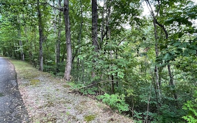 LOT 20 Enchanted Ridge, Hayesville, NC 28904 - photo 3