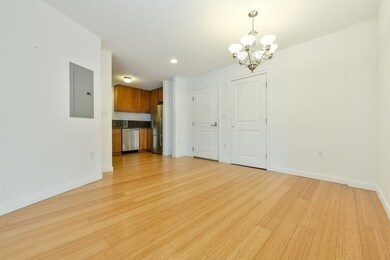 Audubon Park unit 507, Boston, MA 02215 - photo 3