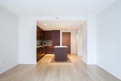 Millenium Place unit 304, Boston, MA 02111 - photo 6