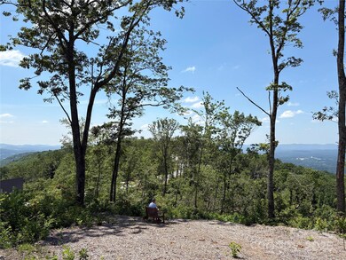 Lot 50 Mountain Grove Ln unit 50, Fletcher, NC 28732 - photo 5