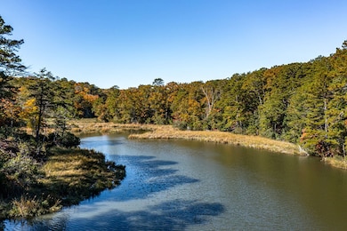 26 Bald Eagle Dr, Lancaster, VA 22503 - photo 3