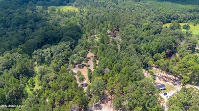 0 W Mchenry Rd, McHenry, MS 39561 - photo 3