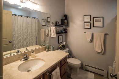Bathroom Landscape