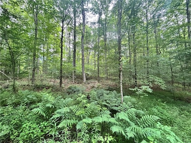 0 County Highway 3a unit R1629709, Unadilla, NY 13849 - photo 2