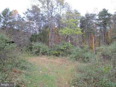 0 Scotts Mill Rd unit 1003248702, Culpeper, VA 22701 - photo 5