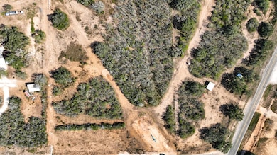 County Road 124, Kenedy, TX 78119 - photo 5