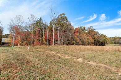 66 Scott Meadows Dr, Asheville, NC 28806 - photo 3