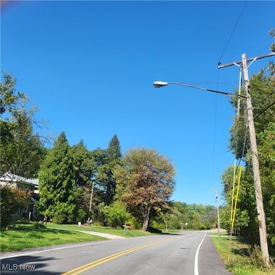 V/L High Bridge Rd, Vermilion, OH 44089 - photo 4