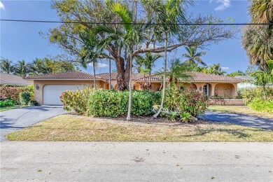 Large established tree and circular driveway with