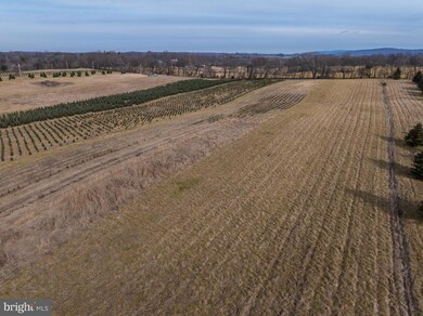 0 unit WVJF2010458, Shepherdstown, WV 25443 - photo 6