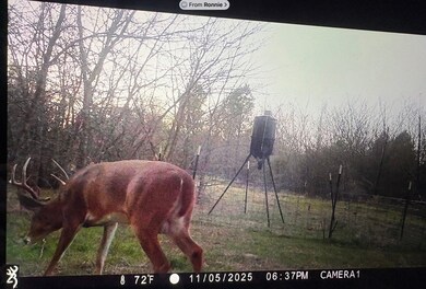 113 AC Fm 3218, Commerce, TX 75428 - photo 6