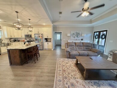 Living Room and Kitchen (2)