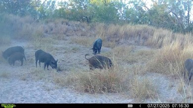 0 Cameron Ln, Fowlerton, TX 78021 - photo 4