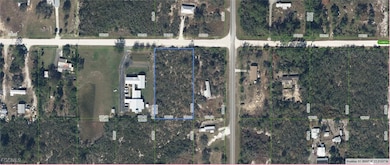157 Cumberland St, Lake Placid, FL 33852 - photo 4
