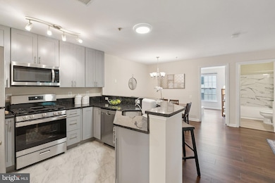 18801 Sparkling Water Dr unit 202, Germantown, MD 20874 - photo 2