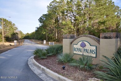 209 Royal Palms Way, Holly Ridge, NC 28445 - photo 2