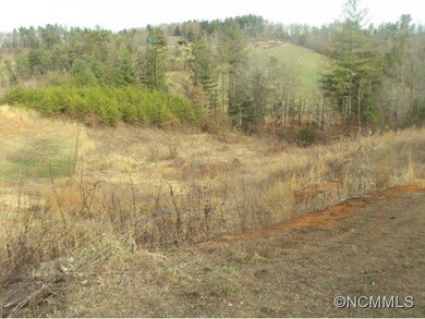 15 Trent Dr, Leicester, NC 28748 - photo 3