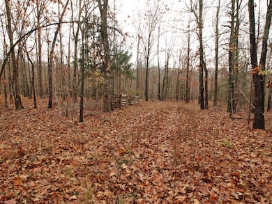 4254 V Hwy, Myrtle, MO 65778 - photo 2