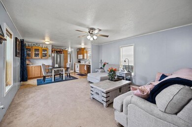 1033 Gilsonite Ave, MacK, CO 81525 - photo 7