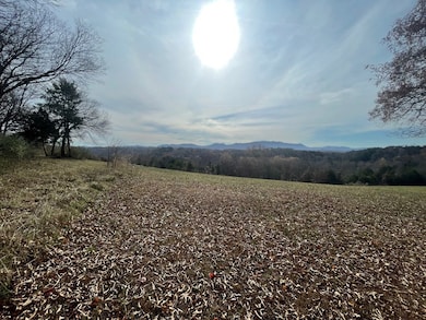 0 Quiet Cove Way Lot 46, Dandridge, TN 37725 - photo 2