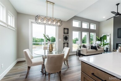 0 Unknown unit MIS25065187, O'Fallon, MO 63385 - photo 5