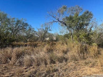 LOTS 2456-2458 Avenue J, Christine, TX 78012 - photo 4