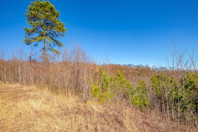 0 Spring Pond Trail, Cana, VA 24317 - photo 5