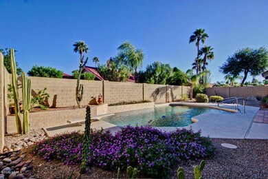 Amazing backyard with pool!