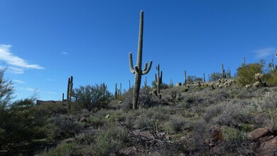 New River AZ 01-02-2019 011
