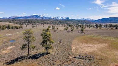 109 Hemlock Place, Pagosa Springs, CO 81147 - photo 2