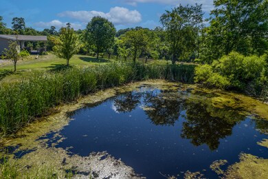 IMG_3337