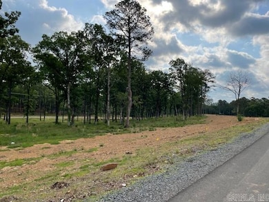 Lot 6 Orchard Hill Ph 4, Conway, AR 72034 - photo 7