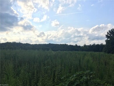 3555 Old Bachelor Creek Rd, Seagrove, NC 27341 - photo 6