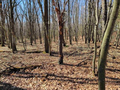 0000 Fremont Ave, Byron, WI 54660 - photo 6