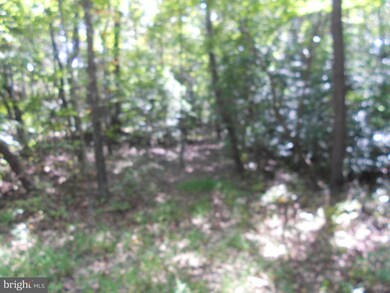 0 Dawsonville Ln unit 1000999511, Ruckersville, VA 22968 - photo 3