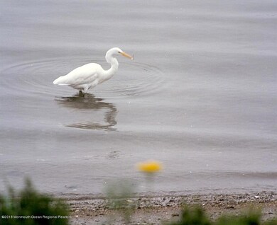 241 Teakwood Dr, Bayville, NJ 08721 - photo 7