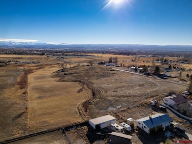 67133 Locust Rd, Montrose, CO 81401 - photo 4