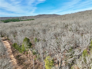TBD Old Cabin Rd, Winslow, AR 72959 - photo 2