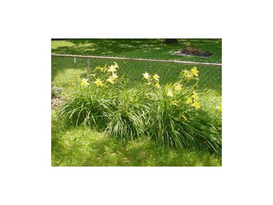 Beautiful perennials
