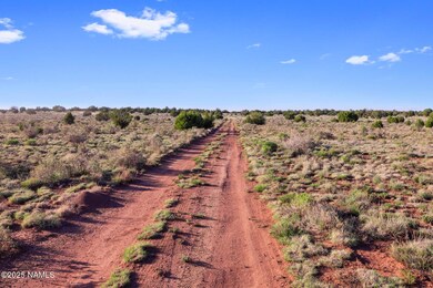 591 S Palmetto Rd, Valle, AZ 86046 - photo 3