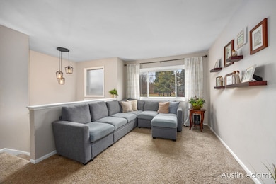 1005 W Main St, Middleville, MI 49333 - photo 3