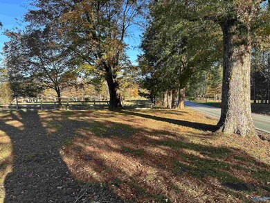 3839 County Road 88, Pisgah, AL 35765 - photo 7