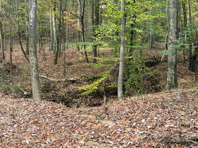 0 Cr 472 unit 37260, Meridian, MS 39301 - photo 3