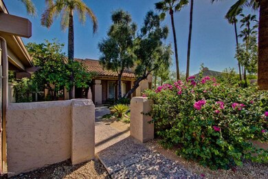 Camelback  #11 (11)