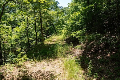 Lot 6 Hidden Forest Ln, Hayesville, NC 28904 - photo 5