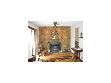 Other. Wood Burning Fireplace