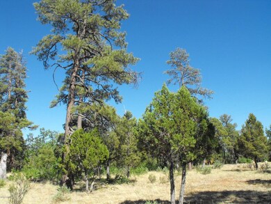 Lot 197 Tamarron 3